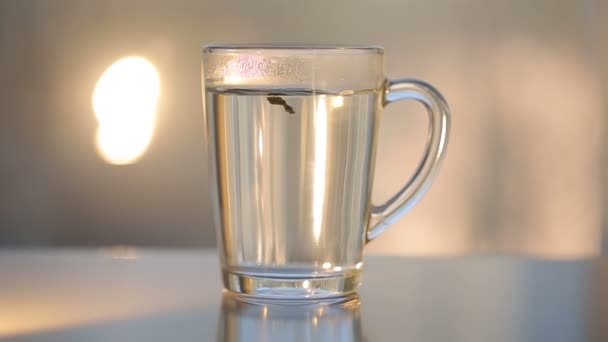 Agua caliente sobre el té en taza de vidrio transparente — Vídeos de Stock