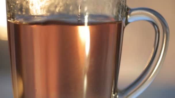 Hot water over tea in transparent glass cup — Stock Video