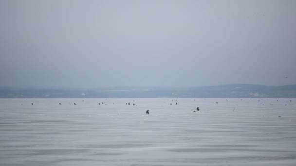 冰上钓鱼的冬天。背景 — 图库视频影像