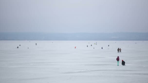 Ice fishing winter. Background — Stock Footage Ice fishing winter. Background Royalty Free Stock Video