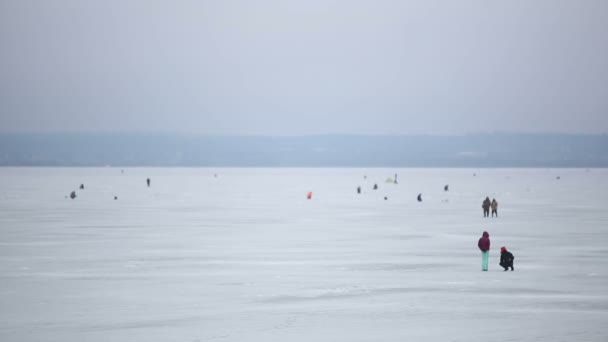 Ice fishing winter. Background — Stock Video