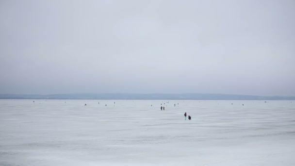氷の冬の釣り。バック グラウンド — ストック動画