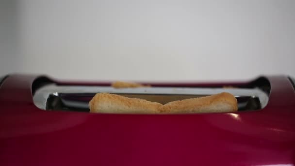 Toastbrot im Toaster — Stockvideo