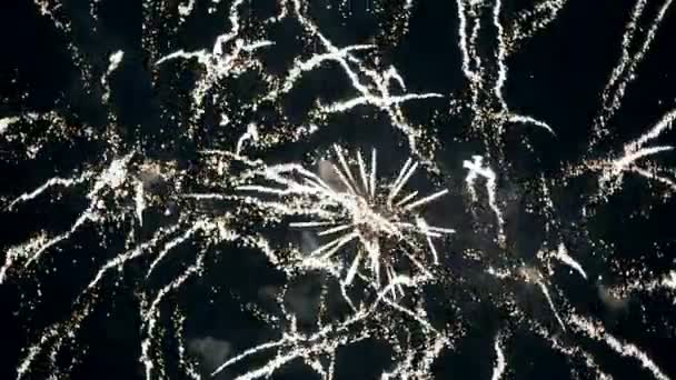 Fuochi d'artificio per sfocare lo sfondo bokeh — Video Stock