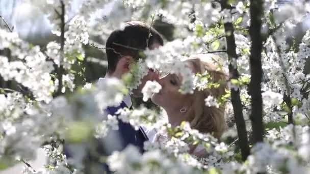 Casal em pé entre a macieira florescente. Movimento lento — Vídeo de Stock