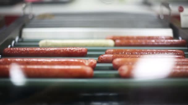 Hot dog e salsicce illuminati che rotolano su metallo riscaldato — Video Stock