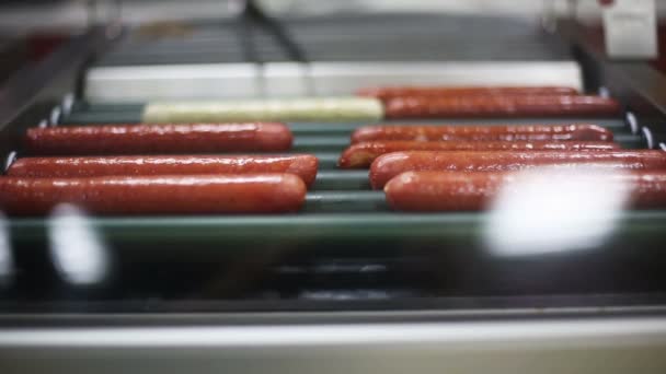 Hot dog e salsicce illuminati che rotolano su metallo riscaldato — Video Stock