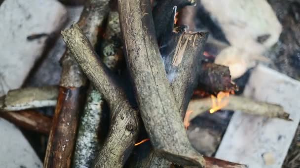Açık havada yanan bir Barbekü ateşten Üstten Görünüm — Stok video