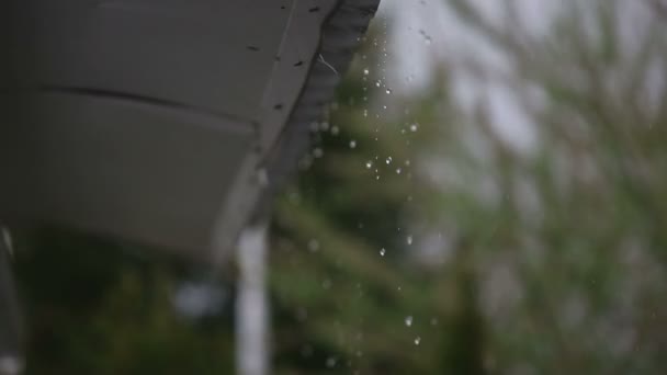 Regenwater en dak van een schuilplaats — Stockvideo