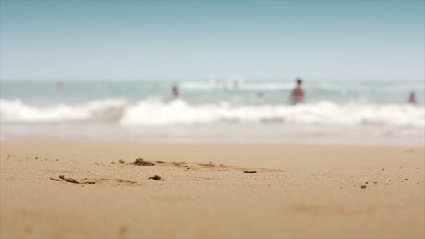 Tropical beach slow motion — стоковое видео
