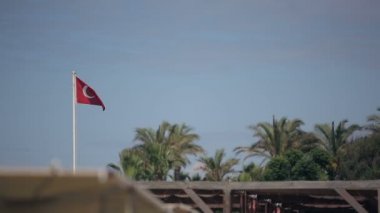Arka plan mavi gökyüzü ve palmiye ağaçlarının üzerinde Türk bayrağı