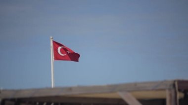 Arka plan mavi gökyüzü ve palmiye ağaçlarının üzerinde Türk bayrağı