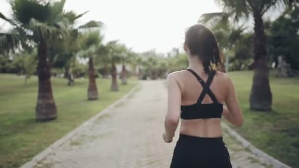 Fitness jogger draait op tropische park fitness jogging training — Stockvideo