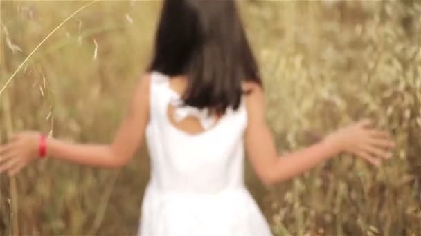 Little girl in a field of tall grass at sunset — Stock Video