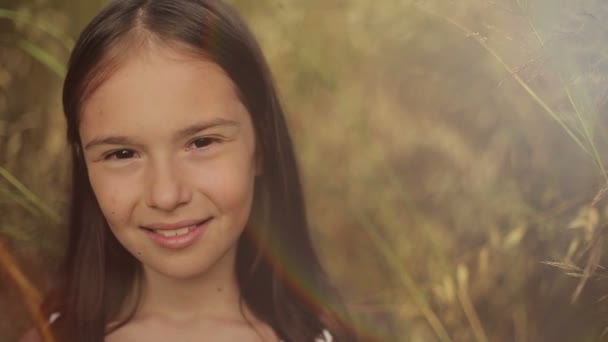 Portret van een klein meisje in een gebied van hoog gras bij zonsondergang — Stockvideo