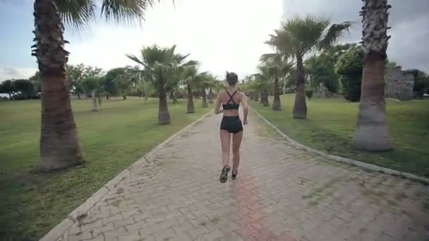 Jogger fitness działa w tropikalnym parku fitness jogging treningu — Wideo stockowe