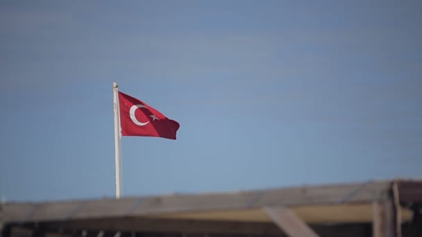 Turkse vlag op een achtergrond van blauwe hemel en palm bomen — Stockvideo