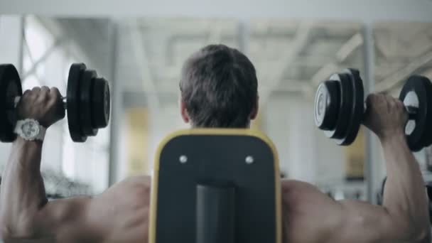 Homem fisiculturista executar exercício com halteres no ginásio. Filmagem do corpo traseiro — Vídeo de Stock