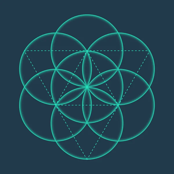 Yaşam Çiçeği işareti. Vektör izole Geometrik Sembol Yaşam Çiçek. Çevreleri ile Yaşam sembolü Çiçek. Metatron Küpü. Kutsal Geometrik glyph - Yaşam Çiçek. Kutsal kutsal sembol. Kutsal Geometri