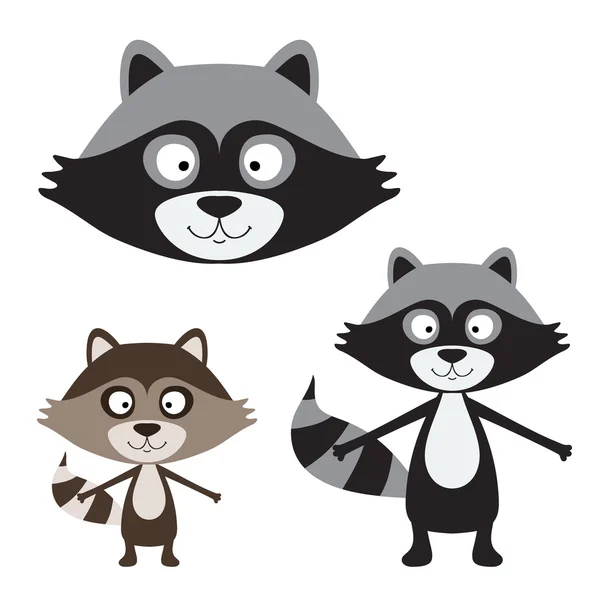 Cute raccoon isolated — Stock Vector