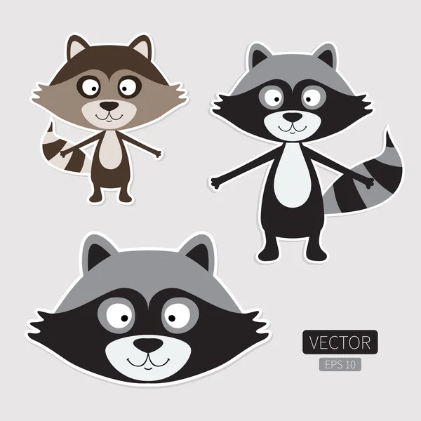 Cute raccoon stickers — Stock Vector