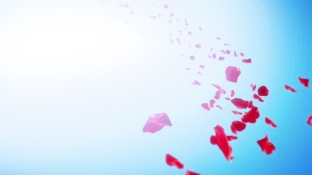 Лепестки роз на фоне неба (Петля ) — стоковое видео