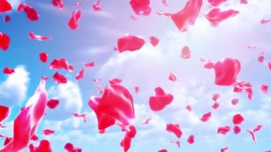 Gül (Loop gökten düşen yaprakları)