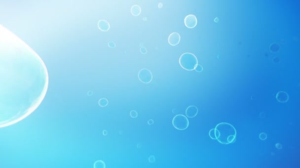 Mýdlové Bubliny Pozadí Smyčka Mýdlové Bubliny Plovoucí Vítr Bezešvé Smyčka — Stock video