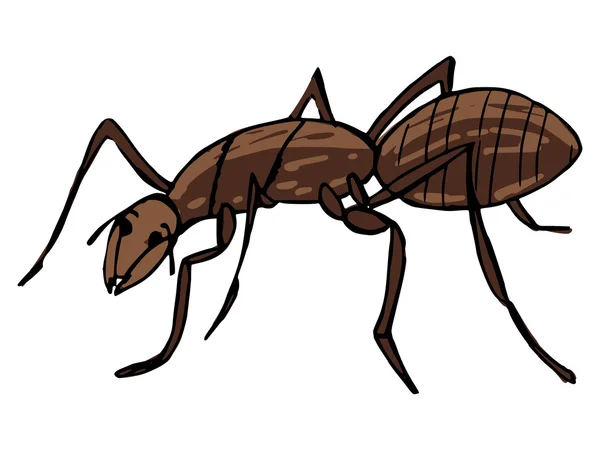 Ant — Stock Vector