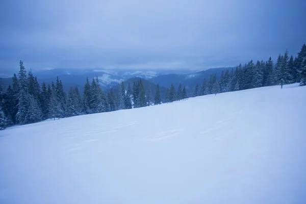 Karlı dağlar — Stok fotoğraf