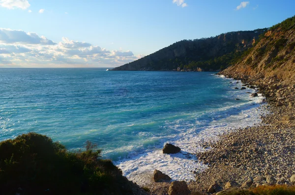 Küçük rock ile Sahil