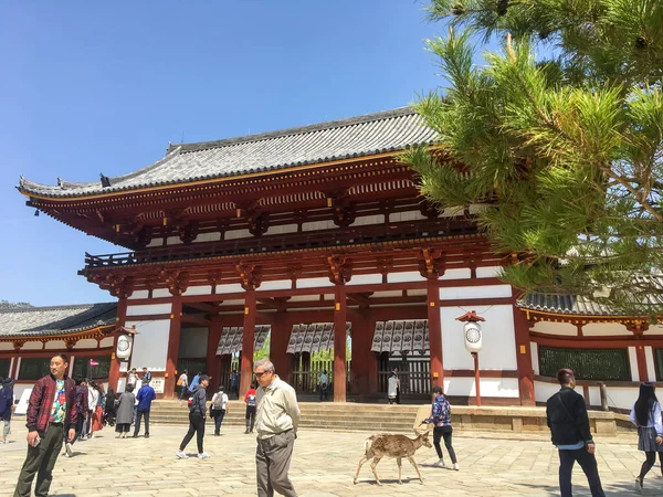 京都市 エイプリル社2018年5月 奈良公園 東大寺複合施設への正門 観光客が寺院の近くを歩く — ストック写真