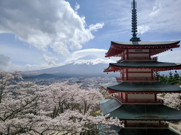 Fuji吉田 エイプリル社2018年10月 忠霊塔近くの富士山の古典的な日本の眺め 観光客は美しい桜を楽しむ — ストック写真