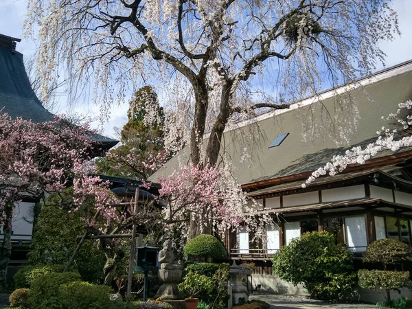 Kawaguchiko Japon Avril 2018 Temple Style Japonais Dans Région Kawaguchiko — Photo