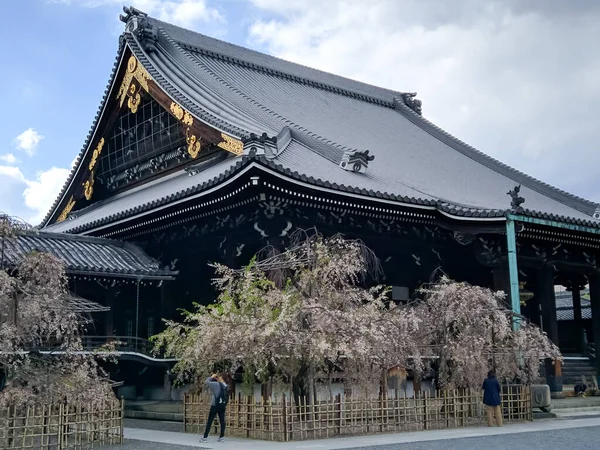 エイプリル社2018年5月5日 京都の中心部にある大寺院 境内には桜が咲き 観光客も訪れます — ストック写真