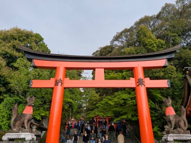 KYOTO, JAPAN - APRIL 5, 2018: The incarnation of the goddess Inari is a fox, Fushimi Inari Temple in Kyoto. Kitsune is a fox, one of the goddesses revered in Japanese land - rice and harvest.