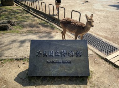 Nara, Japonya - 15 Nisan 2018 Nara Parkı girişini imzalayın. Geyik parkta özgürce dolaşıyor, turistler onları besliyor ve resim çekiyor..