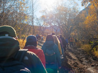Bir grup turist Vachkazhets sıradağlarına gidiyor. Büyük bir grup insan orman yolu boyunca birbiri ardına yürüyor. Kamçatka Yarımadası, Rusya.