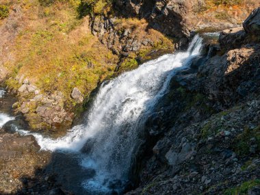 Waterfall near the Vachkazhets mountain range. Water flows over the stones against the backdrop of autumn grass and forest. Kamchatka Peninsula, Russia.