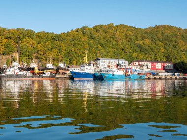Petropavlovsk-Kamchatsky Avacha Körfezi 'ndeki liman. Eski gemiler sonbahar ormanının arka planına karşı rıhtımın yanında duruyor. Kamçatka Yarımadası, Rusya.