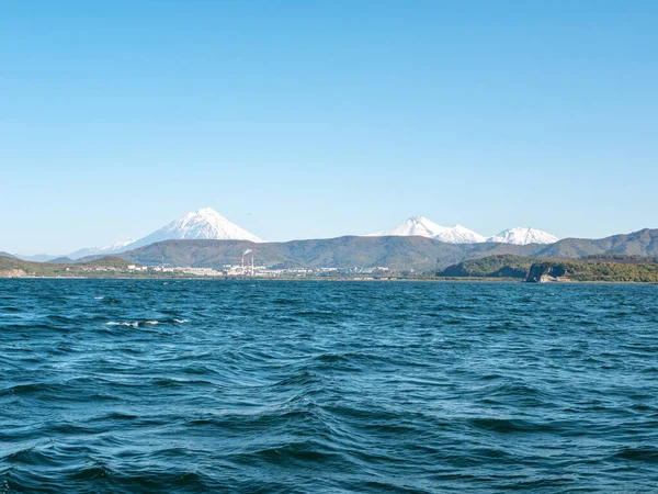 Der Seehafen Der Awatscha Bucht Von Petropawlowsk Kamtschatski Blick Von — Stockfoto
