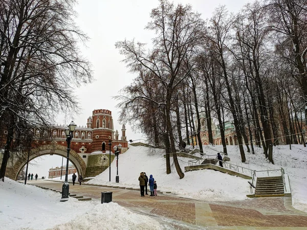 Moskwa Rosja Grudnia 2020 Rezerwat Muzeum Caritsyno Zespół Pałacowo Parkowy — Zdjęcie stockowe