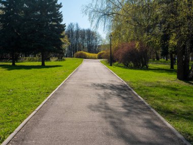 Kolomenskoye Parkı, Moskova 'da güneşli bir bahar günü. Mavi gökyüzüne karşı yeşil çimlerin ve ağaçların olduğu çimlerin manzarası.