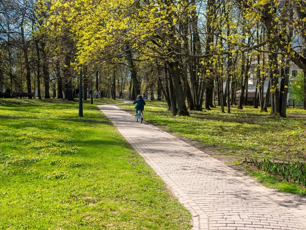 모스크바 공원의 봄날입니다 공원의 자전거를 날좋은 날씨를 즐긴다 — 스톡 사진