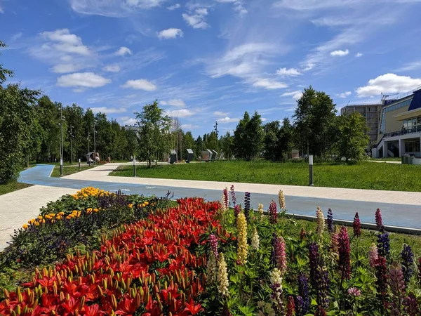 Noyabrsk Rússia Junho 2021 Praça Verão Geólogos Contra Fundo Céu — Fotografia de Stock