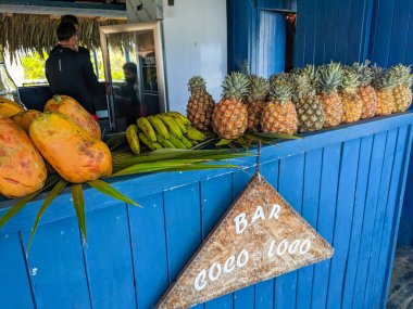 Cayo Guillermo, Küba, 16 Mayıs 2021: Plaj barı ananas, muz ve papaya aromalı kokteyller sunuyor. Barmenler çeşitli alkollü kokteyller hazırlamakla meşgul..
