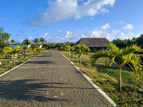 Территория Кубанской Гостиницы Выходит Обветшавшее Здание Крыше Маленькие Пальмы Окружении — стоковое фото