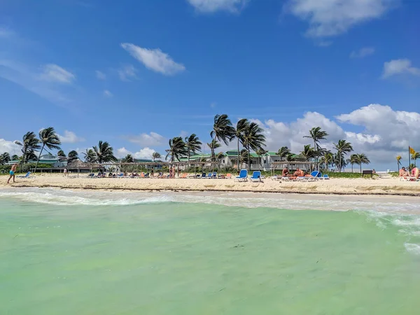 Cayo Coco Küba Mayıs 2021 Turkuaz Palmiye Ağaçlarıyla Kumlu Sahilin — Stok fotoğraf