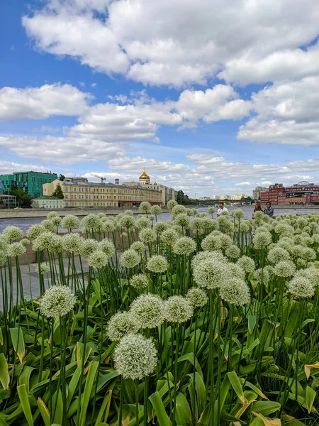 Moskwa Rosja Maja 2021 Muzeon Art Park Zbliżenie Kwiatów Białej — Zdjęcie stockowe