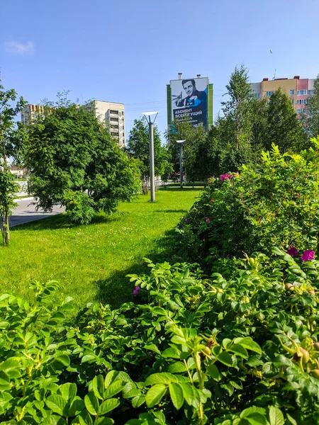 Noyabrsk Rusia Junio 2021 Vista Del Parque Ciudad Con Hierba — Foto de Stock